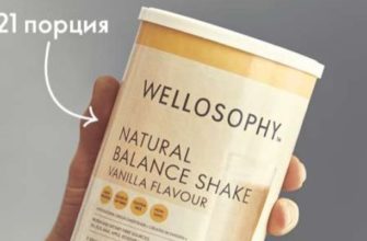 Сухая смесь для коктейля Natural Balance - Wellosophy